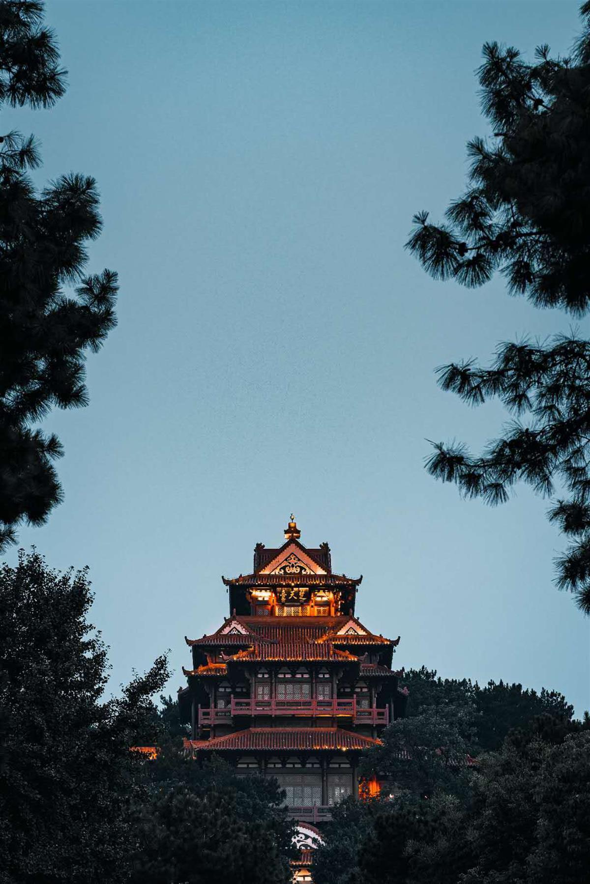 网站美高梅